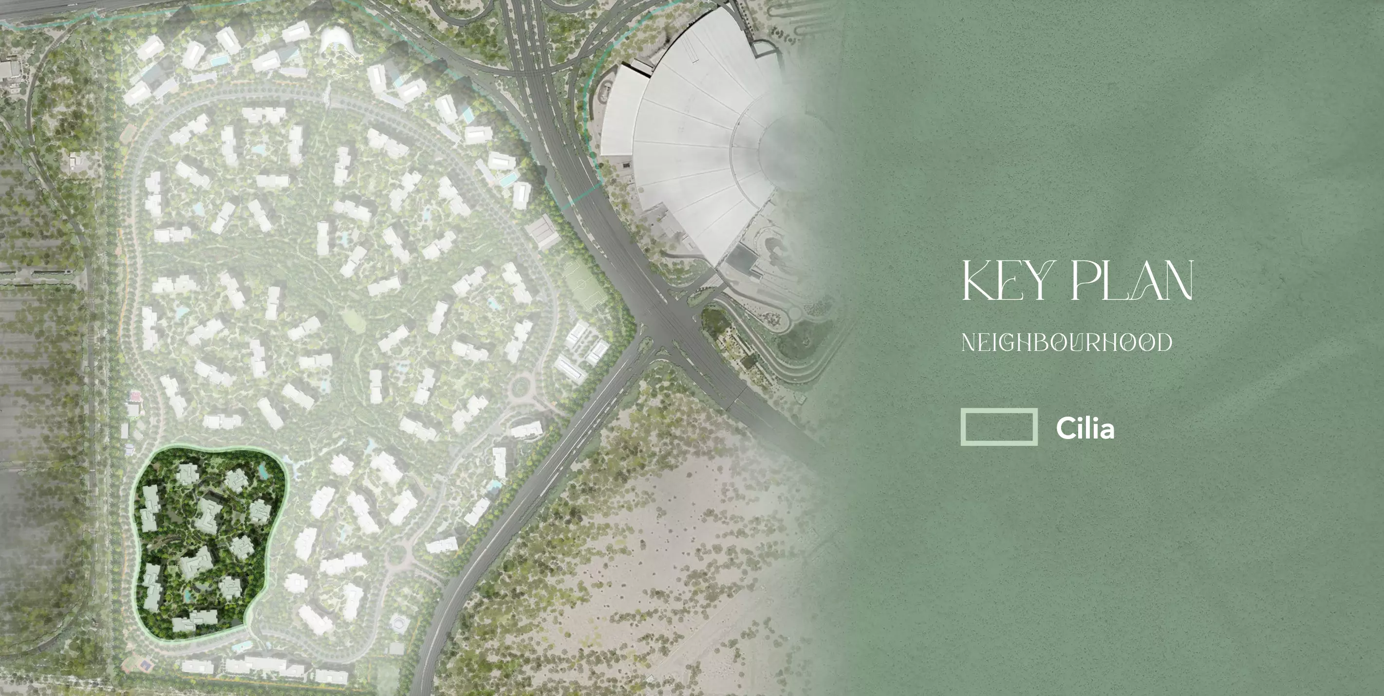 Image 5 of Cilia At Ghaf Woods by Majid Al Futtaim