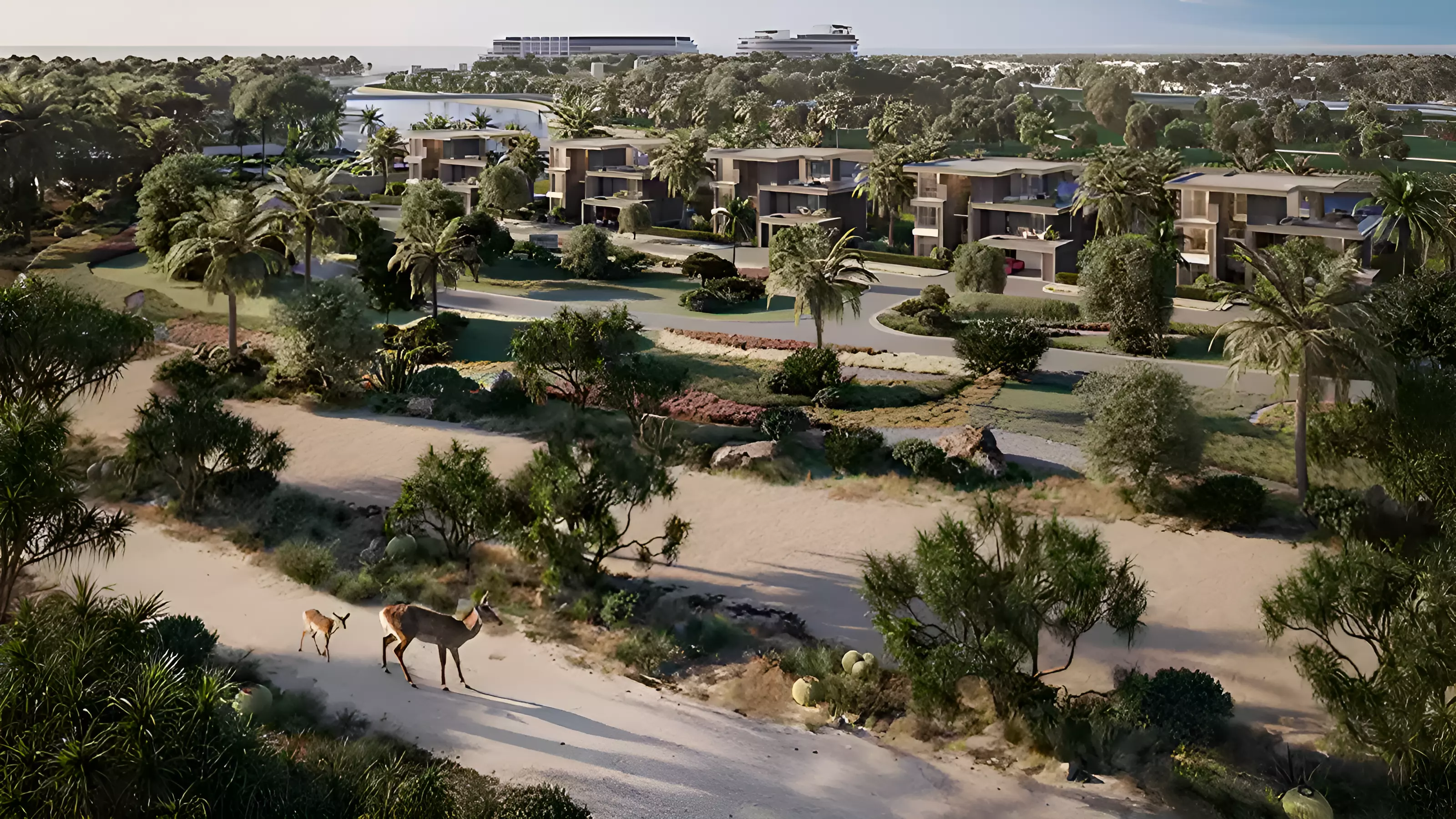 Image 4 of Jacob & Co. Beachfront Living by Ohana Real Estate Development